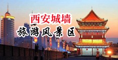 免费观看视频被大鸡巴草中国陕西-西安城墙旅游风景区